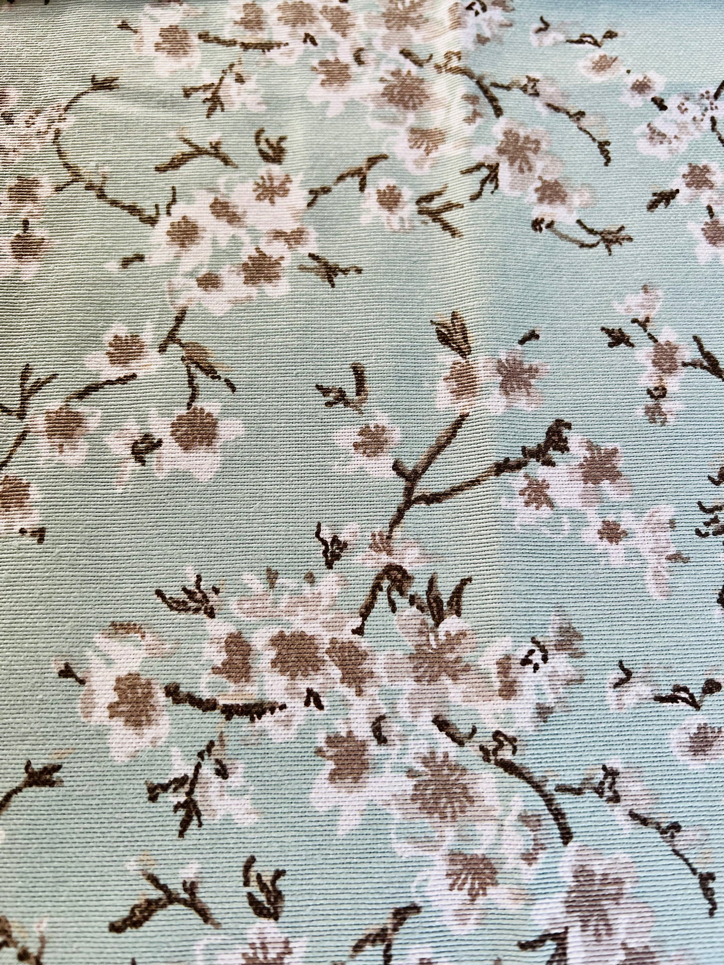 Cherry Blossom